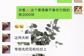 沈丘遇到恶意拖欠？专业追讨公司帮您解决烦恼